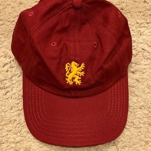 Harry Potter Gryffindor Hat